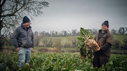 Wolfhall Farm  Image